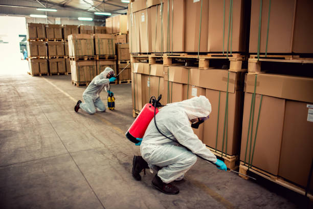 Wasp Removal Services in Preston, MN