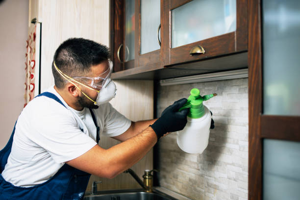 Best Pest Inspection Near Me  in Preston, MN