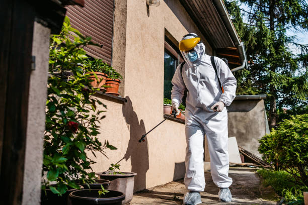Best Local Pest Control Services  in Preston, MN