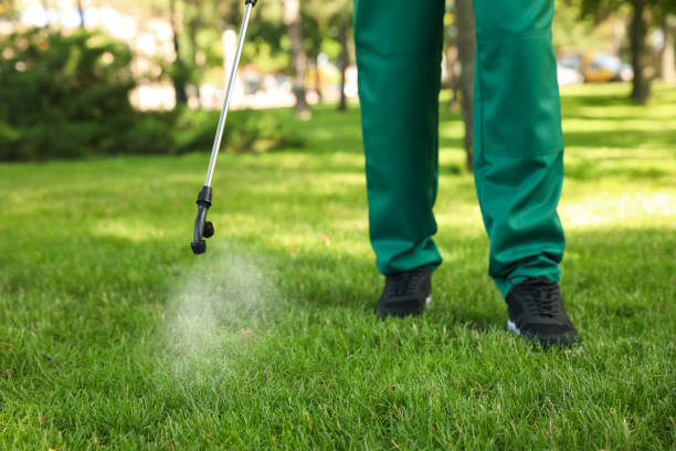 Best Pest Control for Homes  in Preston, MN