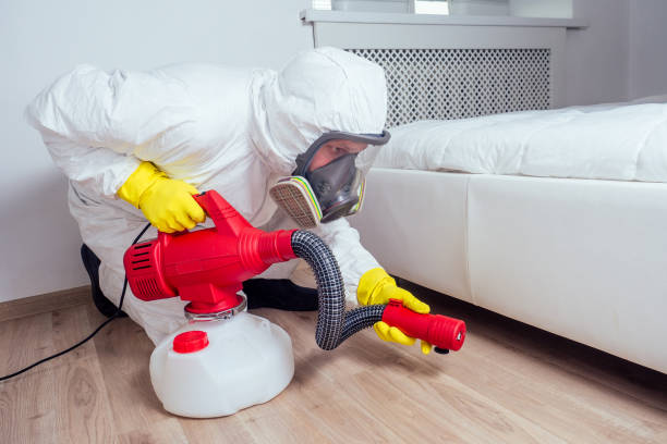 Best Termite Control Services  in Preston, MN