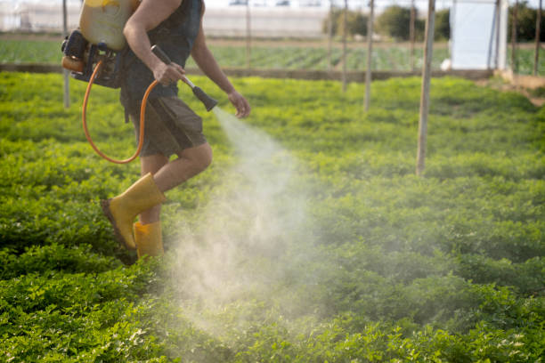 Professional Pest Control in Preston, MN