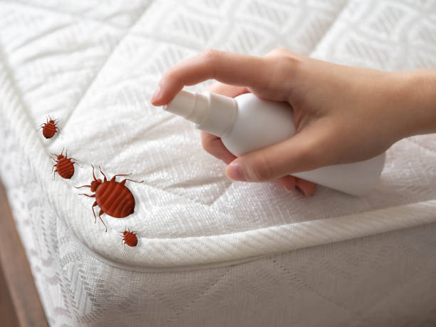Pest Prevention Services in Preston, MN